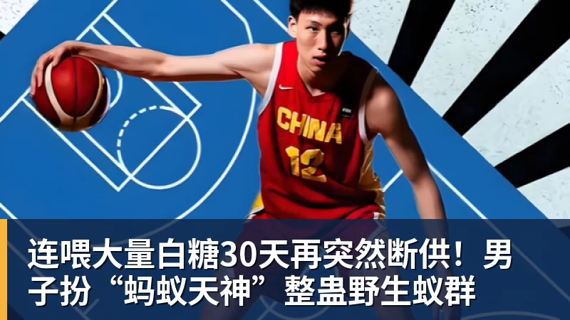 连喂大量白糖30天再突然断供！男子扮“蚂蚁天神”整蛊野生蚁群
